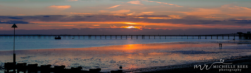 nature0043 
 Nature Photos 
 Keywords: www.michellereesphotography.com, 07855949615, plants and animals, plants, animals, flowers, petals, leaves, nature, chelmsford photographer, essex photographer, wildlife, birds, insects, trees, sky, clouds, sea, ocean, seaside, beach, boats, water, aurora, full moon, fern, blossom, bluebell, shooting stars, perseids, dragon flies, cricket, robin, great tit bird, safari, lions, rhino, babboon, frost, anwick castle, forest, lake,