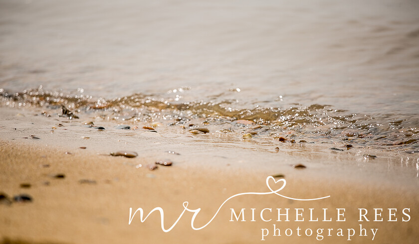 nature0051 
 Nature Photos 
 Keywords: www.michellereesphotography.com, 07855949615, plants and animals, plants, animals, flowers, petals, leaves, nature, chelmsford photographer, essex photographer, wildlife, birds, insects, trees, sky, clouds, sea, ocean, seaside, beach, boats, water, aurora, full moon, fern, blossom, bluebell, shooting stars, perseids, dragon flies, cricket, robin, great tit bird, safari, lions, rhino, babboon, frost, anwick castle, forest, lake,